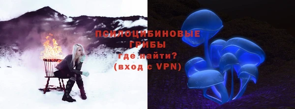 мет Белокуриха