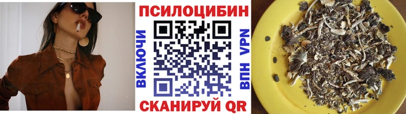 Галлюциногенные грибы Magic Shrooms  hydra ССЫЛКА  Пионерский  цены  